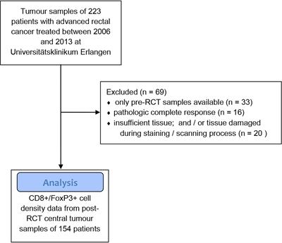 The Prognostic Value of FoxP3+ Tumour-Infiltrating Lymphocytes in Rectal Cancer Depends on Immune Phenotypes Defined by CD8+ Cytotoxic T Cell Density